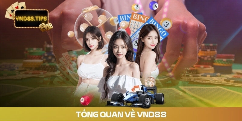 Tổng quan về vnd88